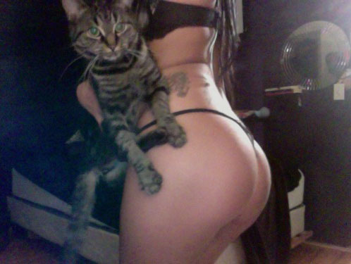 cats tits and ass 6