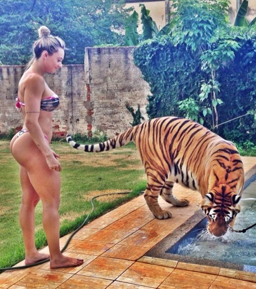tiger-style-booty-2